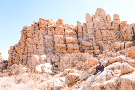 Joshua Tree National Park