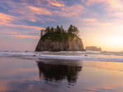 Olympic National Park 