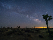 Joshua Tree National Park