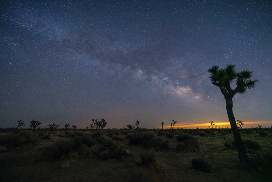 Joshua Tree National Park