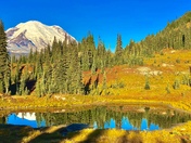 Mount Rainier National Park 