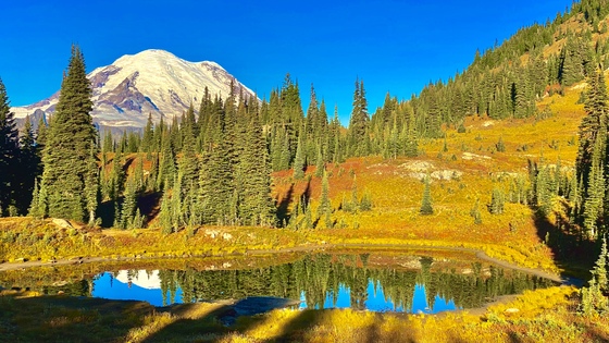Mount Rainier National Park 