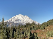 Mount Rainier National Park 