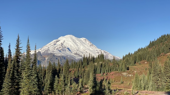 Mount Rainier National Park 