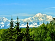 Denali National Park