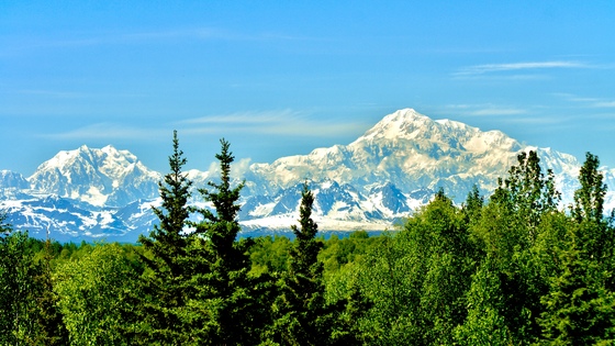 Denali National Park