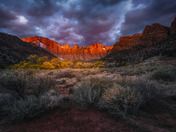 Zion National Park
