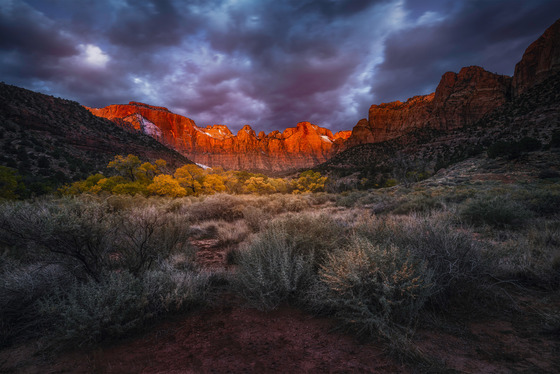 Zion National Park