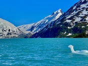 Chugach National Forest