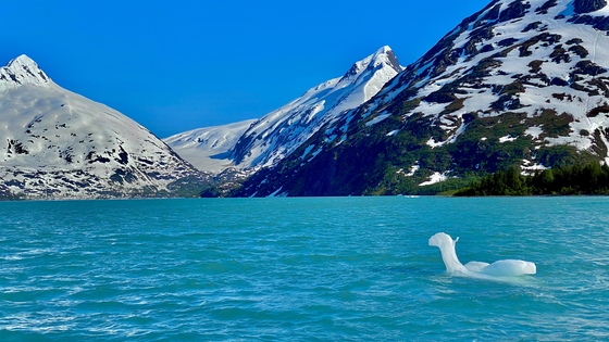Chugach National Forest