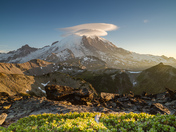 Mount Rainier National Park