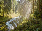 Olympic National Park