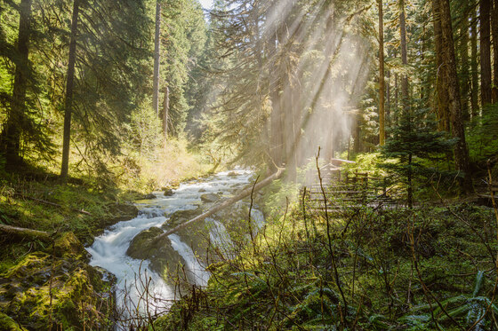 Olympic National Park
