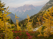 North Cascades 