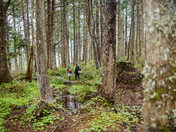 Cape Flattery