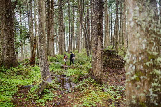 Cape Flattery