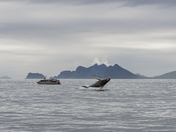 Kenai Fjords National Park