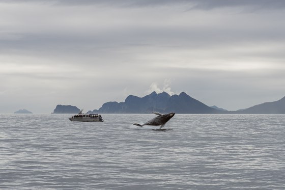 Kenai Fjords National Park