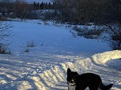 Just take a deep breath and look at the moon!