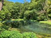 Ozark National Scenic Riverways (Alley Spring)