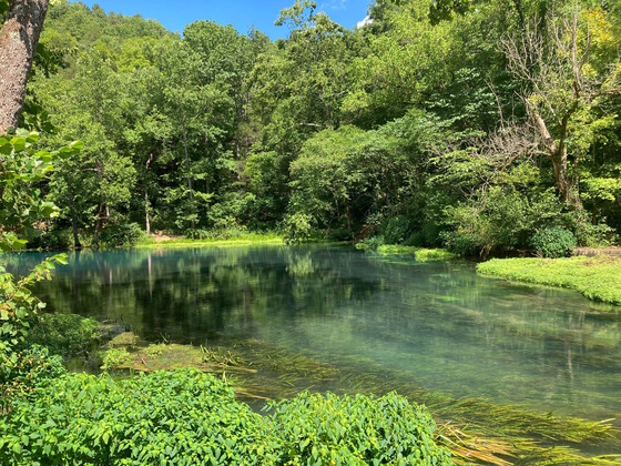 Ozark National Scenic Riverways (Alley Spring)