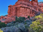 Coconino National Forest