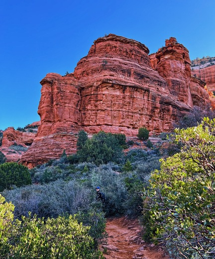 Coconino National Forest