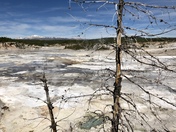 Yellowstone National park 