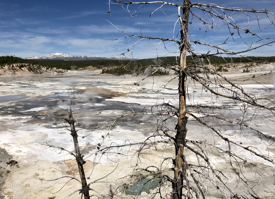 Yellowstone National park 