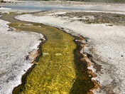 Yellowstone National park