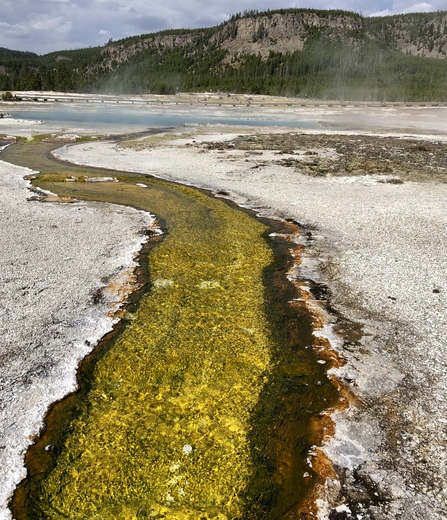 Yellowstone National park