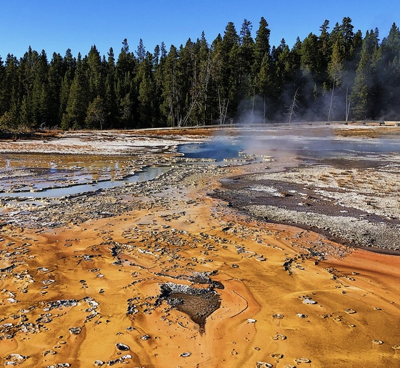 Yellowstone National park 