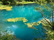Ozark National Scenic Riverways (Alley Spring)