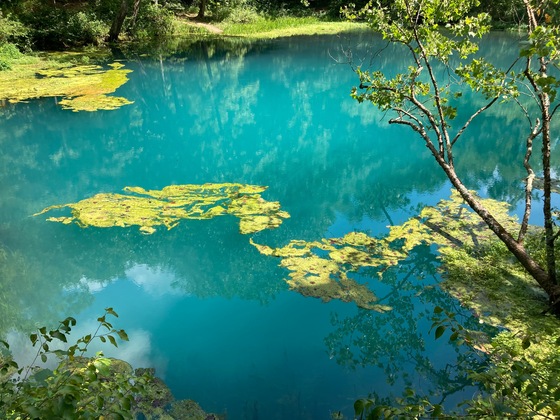 Ozark National Scenic Riverways (Alley Spring)
