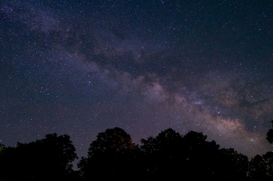 Ozark National Scenic Riverways (Alley Spring Campground)