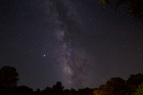 Ozark National Scenic Riverways (Alley Spring Campground)