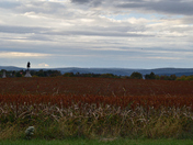 Gettysburg National Military Park