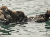 Morro Bay