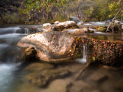 Coconino National Forest