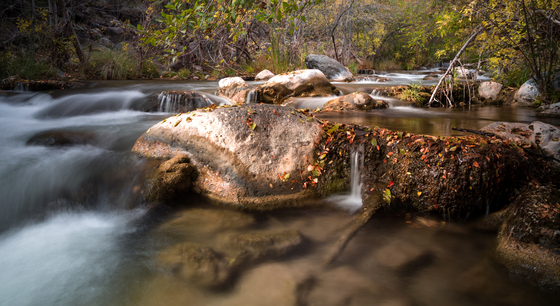 Coconino National Forest