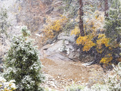 Zion National Park