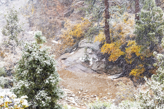 Zion National Park