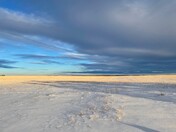 Crop Field Under Snow