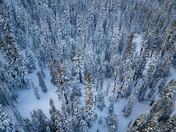 Inyo National Forest