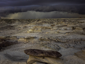 Bisti Wilderness