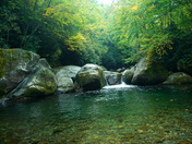 Great Smoky Mountains National Park