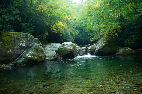 Great Smoky Mountains National Park