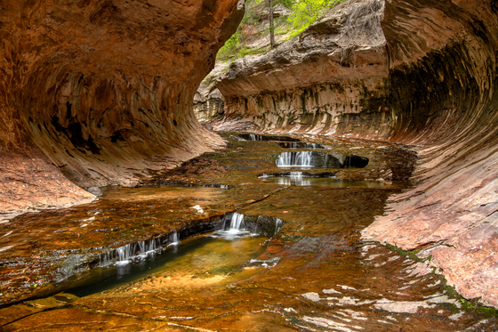 Zion National Park