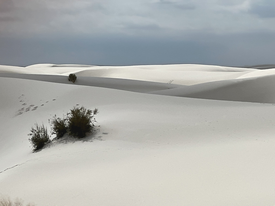 White Sands National Park