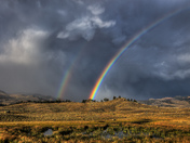 Yellowstone National Park
